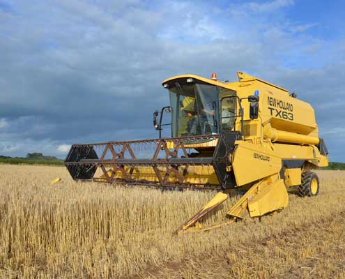 Yellow combine close up in field
