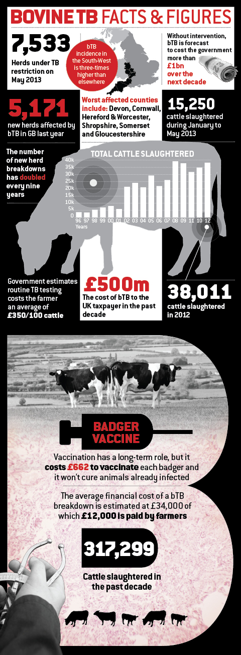 Bovine TB stats