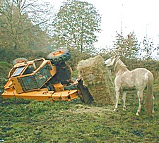 Horse play 3a