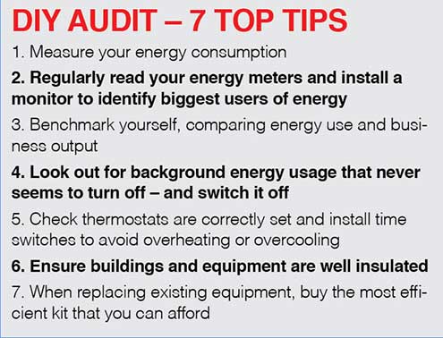 diy audit eon