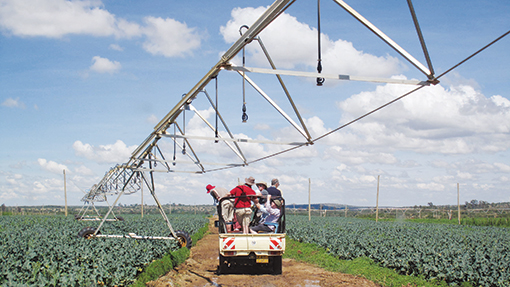 Kenya Agri-Tour veg