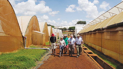 Kenya Agri-Tour polytunnels