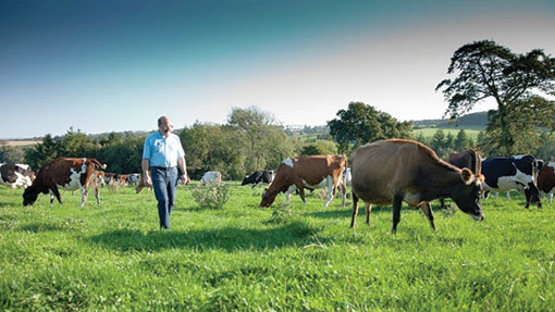 Laurence Harris on farm