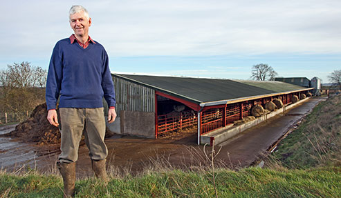 Distance view of new shed