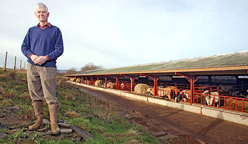 Side view of shed