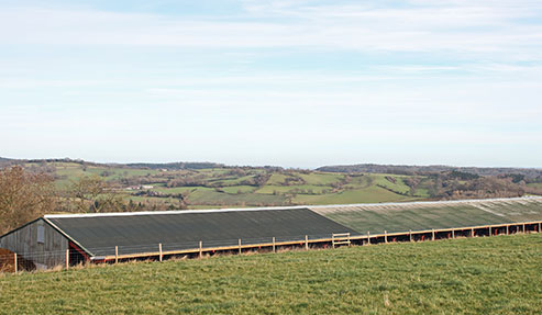 shed from long distance