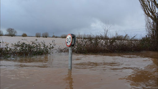Flooded road signs