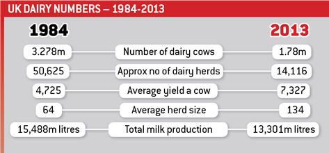 UK dairy numbers