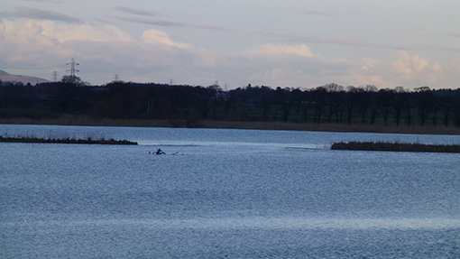 Rhynd farm flooded