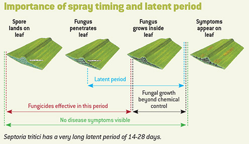 Spray-timing-graph