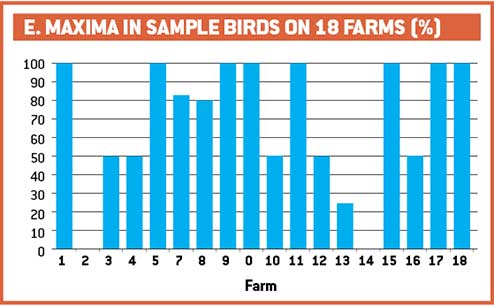 E Maxima in sample birds on 18 farms 