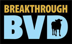 Breakthrough BVD logo
