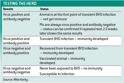 Testing-the-herd