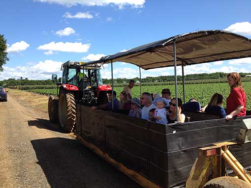 Tuesley Farm Open Farm Sunday