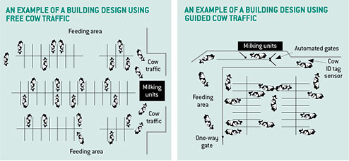 Cow robot graphic