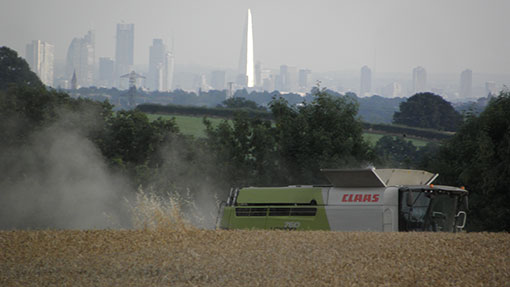 Harvest 2013 shard