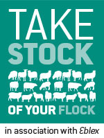 take stock of your flock logo