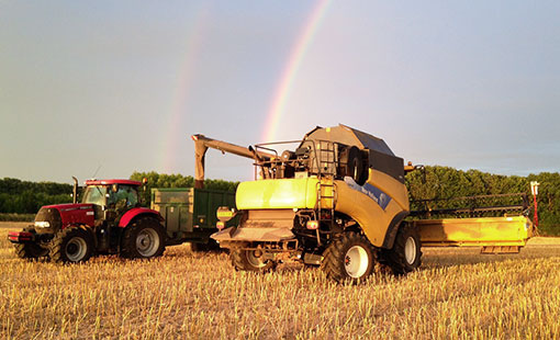 Newark OSR and rainbow