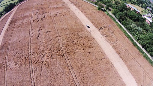 oilseed rape trials Wiltshire