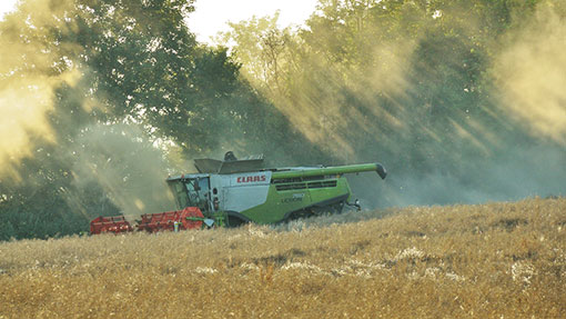 OSR harvest 2014