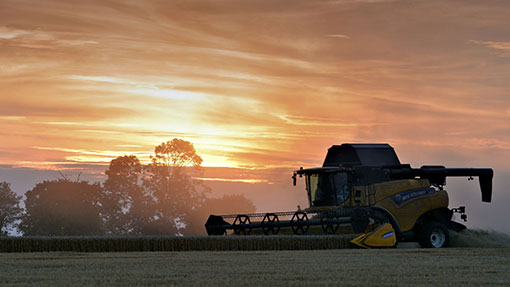 Harvest in Suffolk