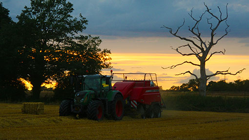 Baling barley straw Herts