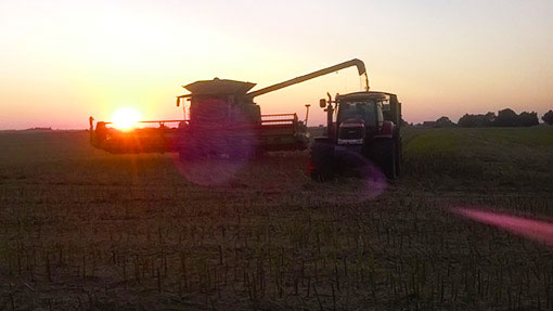 Harvest Lincolnshire