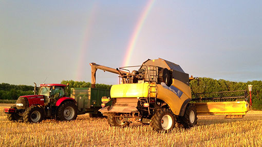 Rainbow at harvest Newark