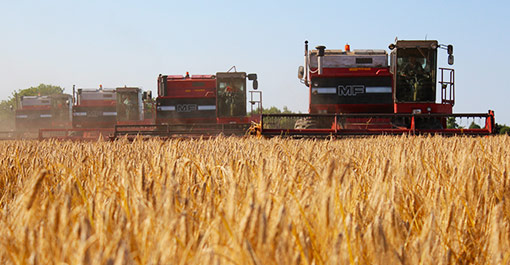 Massey Ferguson 865 classic combines