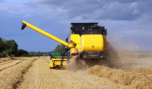 Harvest dark clouds