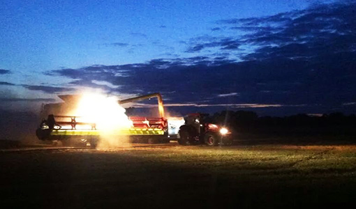 Harvest at night