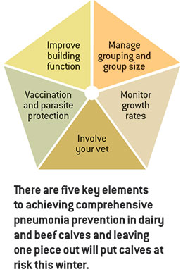 pneumonia five-point plan