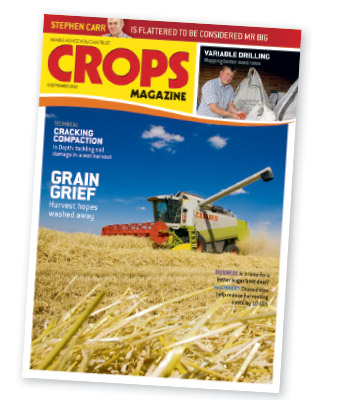 2010s-Crops-cover2