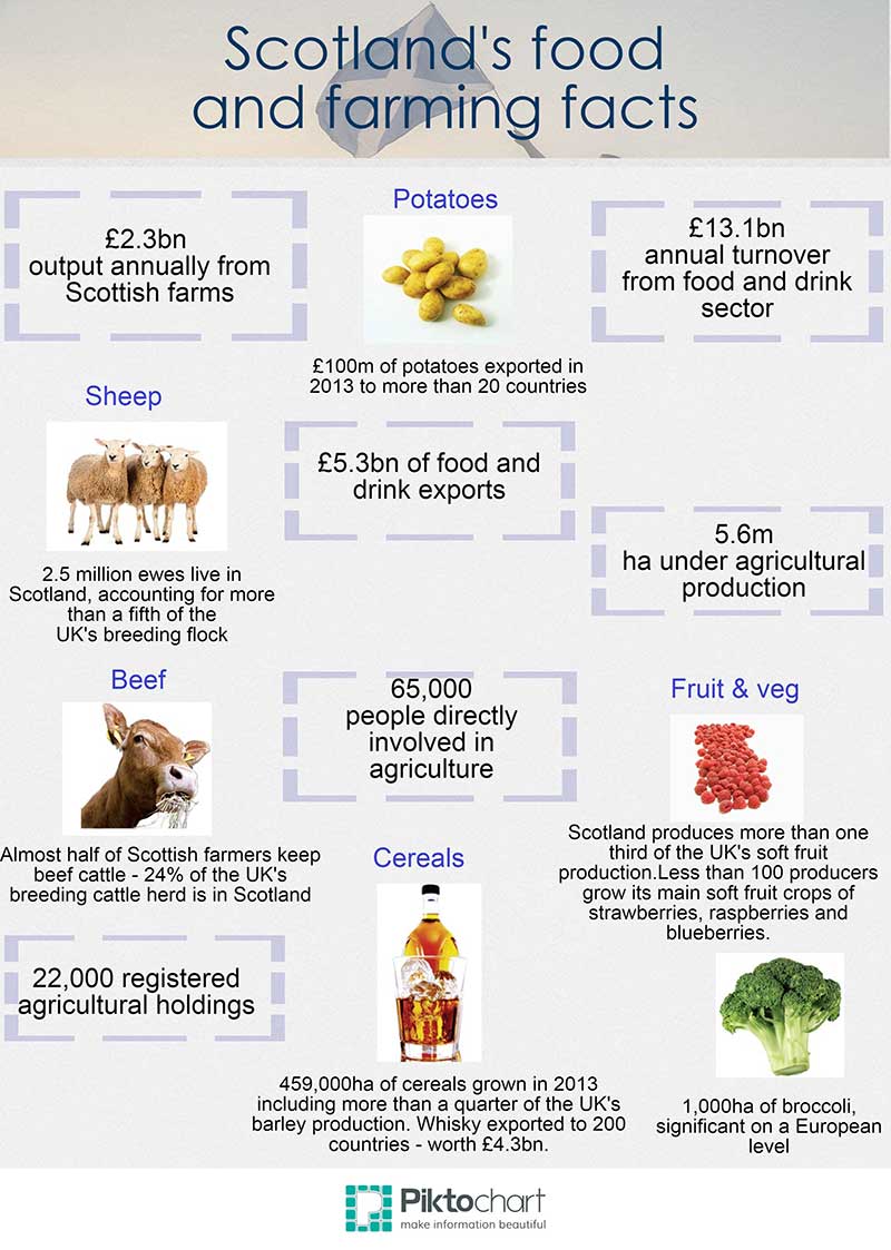 Scottish agriculture industry infographic