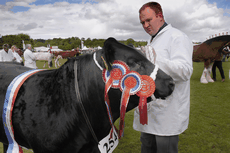 Mr N Slack (Penrith) with Overall Beef Champion Ch