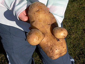 tuber