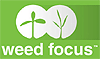 weed focus logo