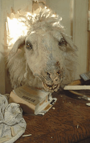 sheepfilm3