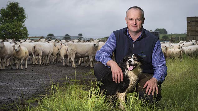 John Scott in a field with sheep